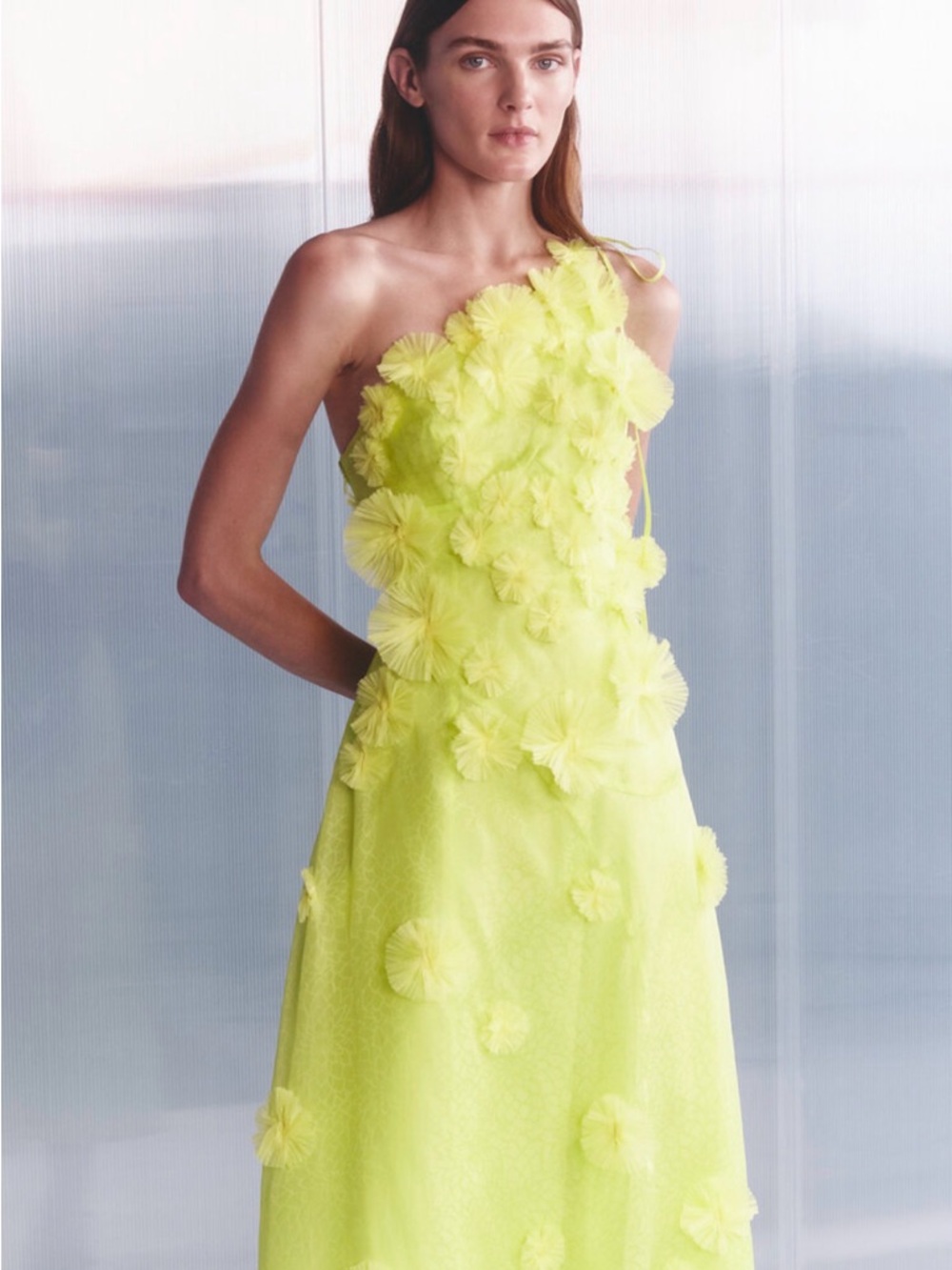 Rachel Gilbert Lime One-Shoulder Floral Appliqué Midi Dress - Picture 4 of 4